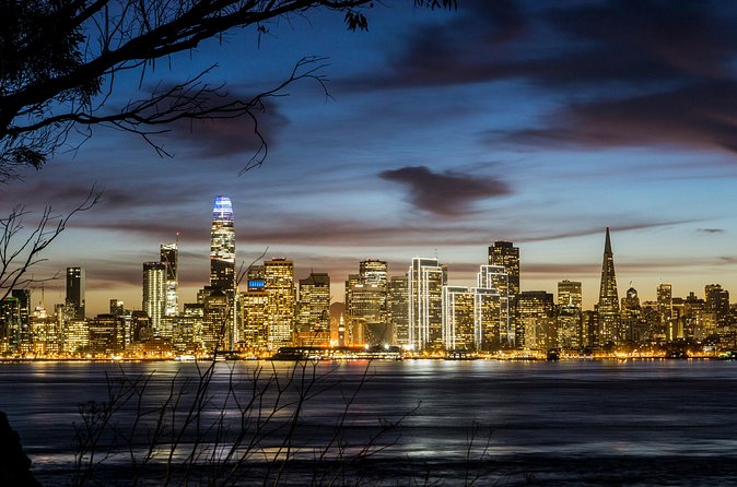 San Francisco Bay Cruise & Double Decker Night Tour - Who should book this evening outing