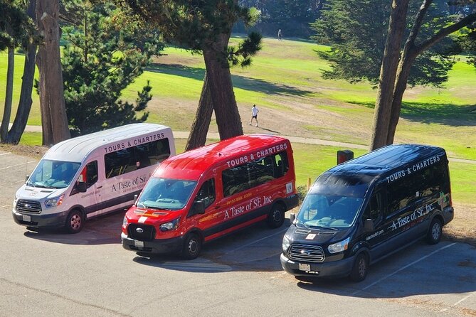 San Francisco Bay Cruise, Muir Woods and Sausalito Combo Tour - Walking Among the Redwoods at Muir Woods