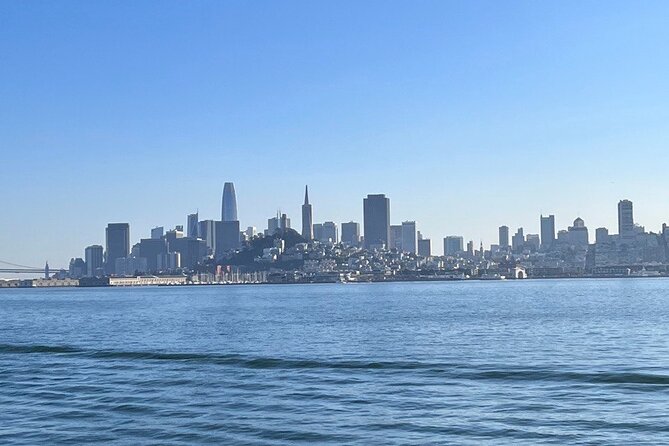 San Francisco Bay Cruise, Muir Woods and Sausalito Combo Tour - What the $134 Price Really Covers