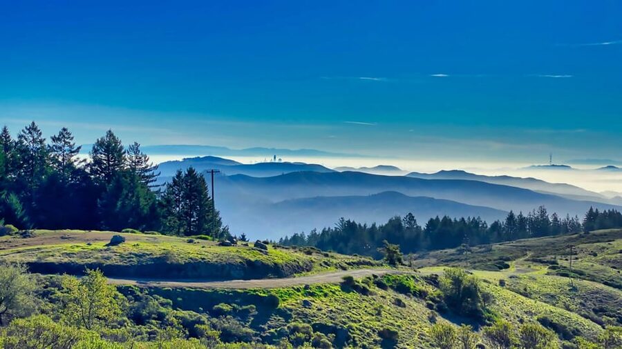 San Francisco: Bike Tour with Muir Woods and Sausalito Visit - Who will enjoy this day most?
