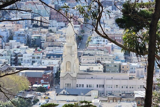 San Francisco City Small Group Morning Tour - Lombard Street, the Marina, and Palace of Fine Arts