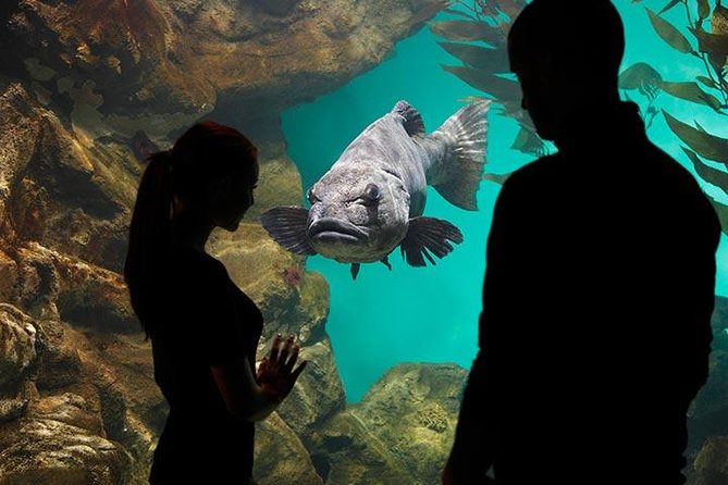 San Francisco CityPASS® - San Francisco Zoo & Gardens: rewarding, but far from the center