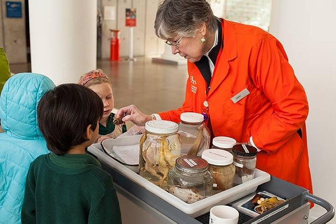 San Francisco CityPASS® - Walt Disney Family Museum: a focused museum visit