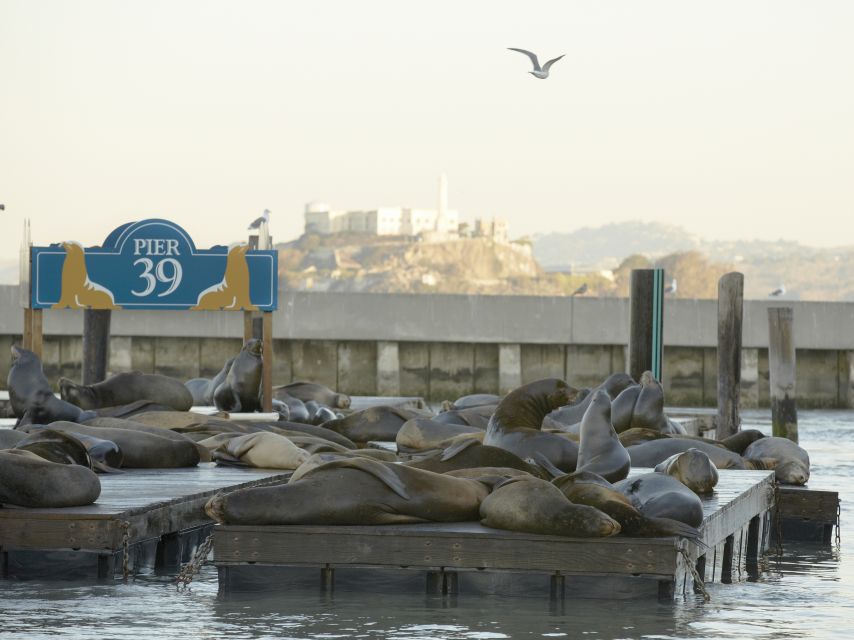 San Francisco CityPASS®: Save 46% at 4 Top Attractions - Key details to know before you buy