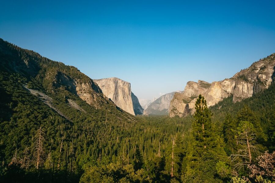 San Francisco: Day Trip to Yosemite with Giant Sequoias Hike - From San Francisco to the Sierra foothills