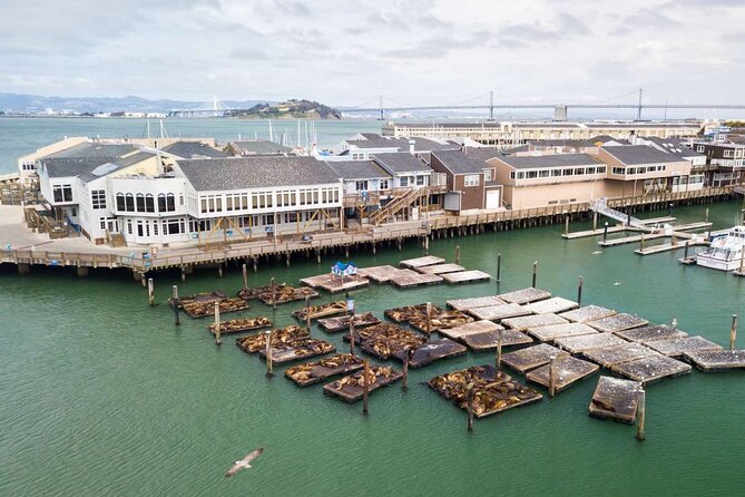 San Francisco Fisherman's Wharf Personalized Self-Guided App Tour - A cheap, flexible way to see the northern waterfront