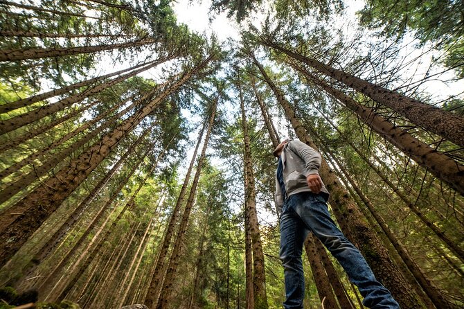 San Francisco: Full Day Coastal Redwoods & Wine Country Tour - Crossing the Golden Gate Bridge