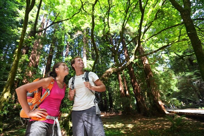 San Francisco: Full Day Coastal Redwoods & Wine Country Tour - The guides shape the day