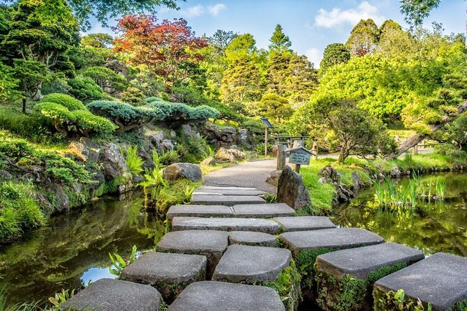 San Francisco Golden Gate Park Tour - Key points to know before you book