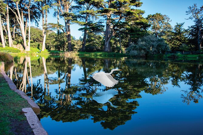 San Francisco Golden Gate Park Tour - Lakes, plazas, memorials, and living stories