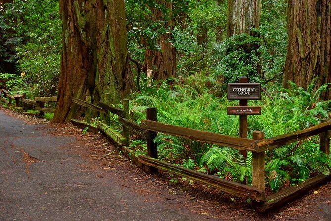 San Francisco, Golden Gate, Sausalito and Muir Woods Private Tour - A full day that connects the city, bay, and forest