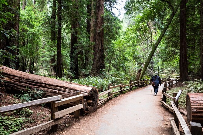 San Francisco, Golden Gate, Sausalito and Muir Woods Private Tour - A short stop for Star Wars fans at Lucasfilm