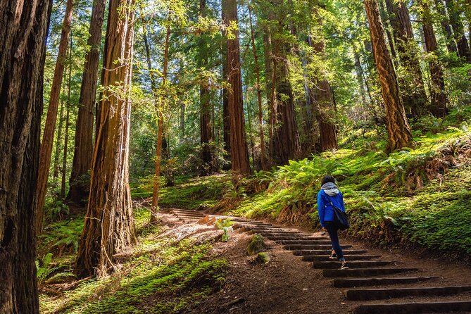 San Francisco, Golden Gate, Sausalito and Muir Woods Private Tour - Sausalito, harbor views, and houseboats