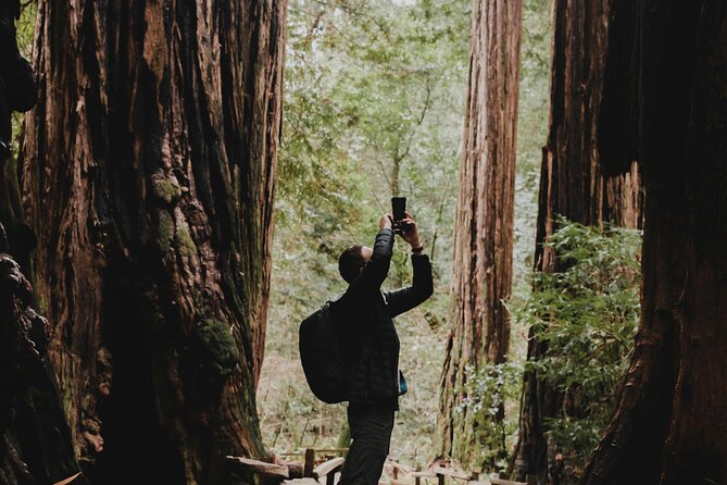 San Francisco, Golden Gate, Sausalito and Muir Woods Private Tour - One hour beneath the redwoods at Muir Woods