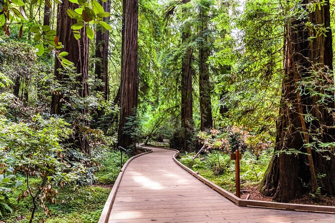 San Francisco, Golden Gate, Sausalito and Muir Woods Private Tour - Golden Gate Park in a rapid-fire series of stops