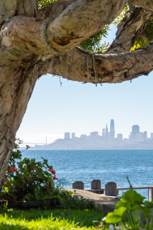 San Francisco Golden Gate Sausalito Muir Woods Private Tour - Ocean Beach, Lands End, and the western edge