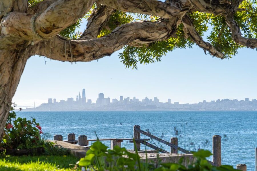 San Francisco Golden Gate Sausalito Muir Woods Private Tour - Fisherman’s Wharf to Coit Tower