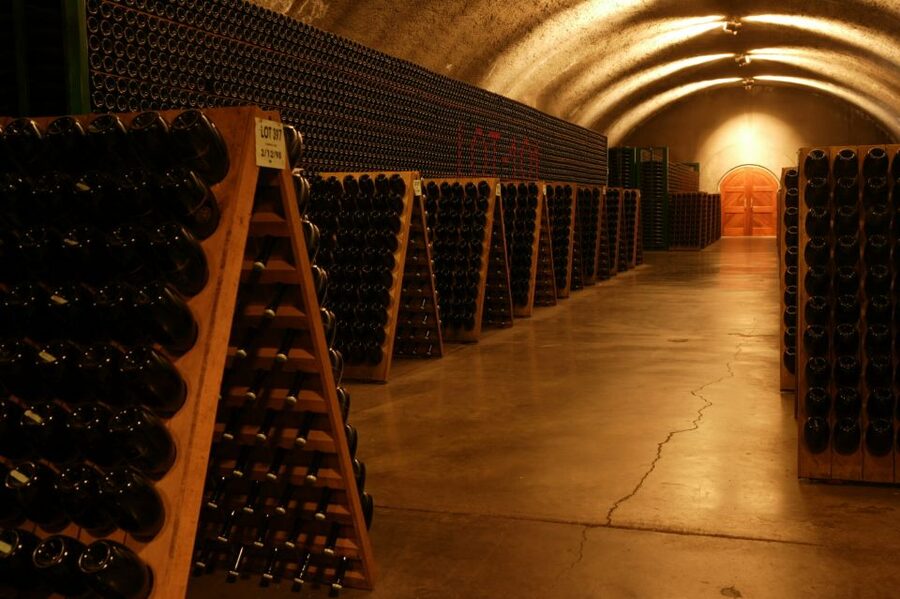 San Francisco: Guided Coastal Redwoods & Wine Country Tour - Who will enjoy this tour most