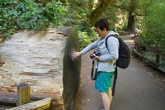 San Francisco: Guided Muir Woods Tour & Hop-on Hop-off Bus Tour - Add the sunset ride for a second view of the city