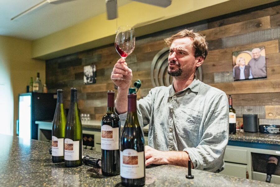 San Francisco: Half-Day Wine Country Excursion with Tastings - Why this half-day trip works well from San Francisco