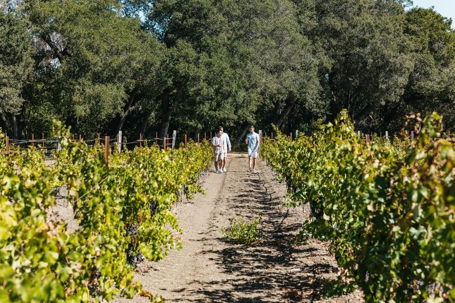 San Francisco: Half-Day Wine Country Excursion with Tastings - What the coach ride is really like