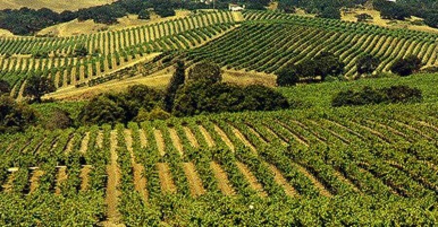 San Francisco: Half-Day Wine Country Tour with Wine Tastings - Key points to know before booking