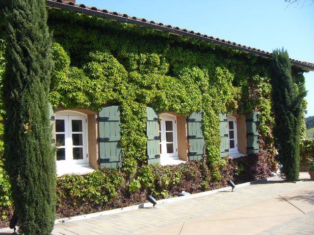 San Francisco: Half-Day Wine Country Tour with Wine Tastings - Two wineries, two different introductions to wine