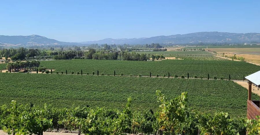 San Francisco: Half-Day Wine Tour with 2 Tastings Included - Key points to know before you book