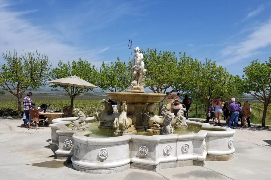 San Francisco: Half-Day Wine Tour with 2 Tastings Included - Practical tips for a smoother day