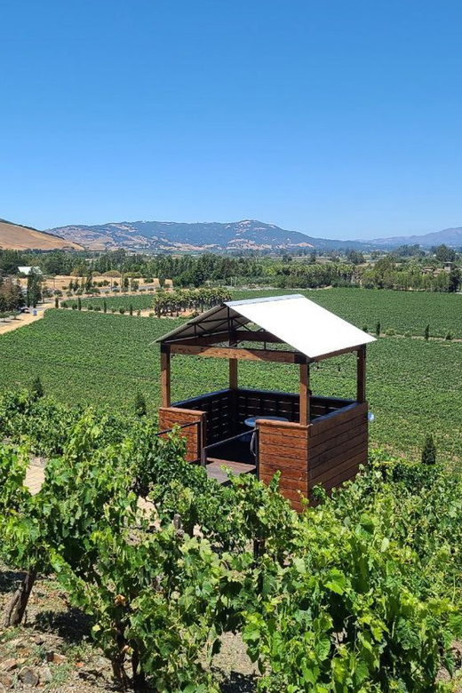 San Francisco: Half-Day Wine Tour with 2 Tastings Included - Leaving San Francisco over the Golden Gate Bridge