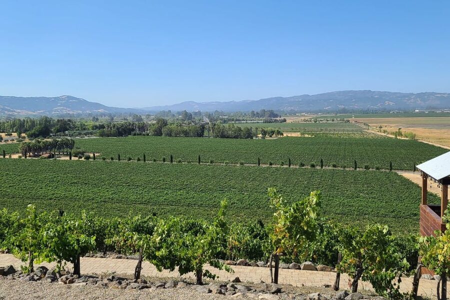 San Francisco: Half-Day Wine Tour with 2 Tastings Included - Entering Sonoma Valley, California’s early wine country