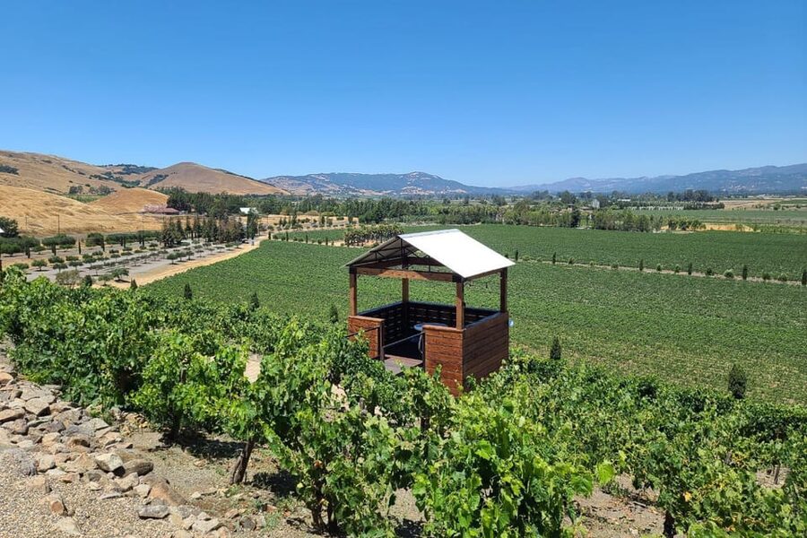 San Francisco: Half-Day Wine Tour with 2 Tastings Included - Lunch at a winery or around Sonoma Plaza