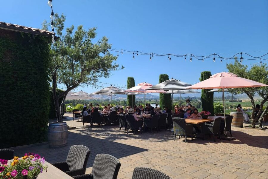 San Francisco: Half-Day Wine Tour with 2 Tastings Included - The ride back to San Francisco