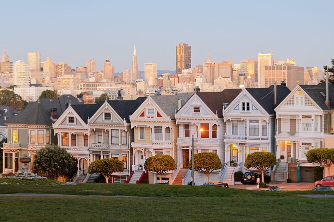 San Francisco Highlights Private 3-Hour Driving Tour - The Painted Ladies at Alamo Square