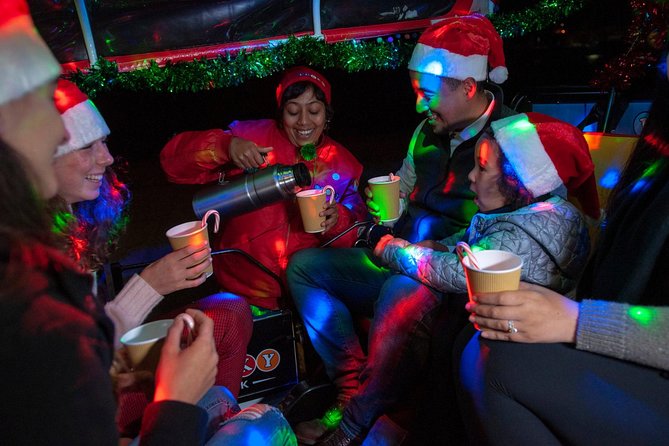 San Francisco Holiday Season Private Tour - Lucky Tuk Tuk - Key things to know before you book
