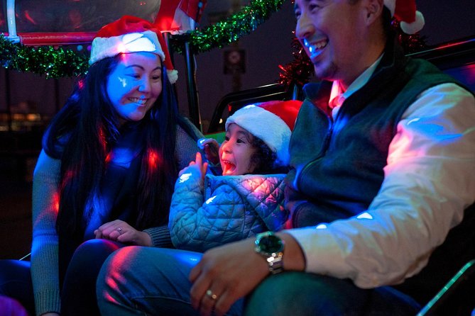 San Francisco Holiday Season Private Tour - Lucky Tuk Tuk - North Beach and Chinatown after dark