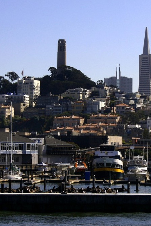 San Francisco: Hop-On Hop-Off City Bus Tour and Bay Cruise - The Bay cruise changes the scale of the city