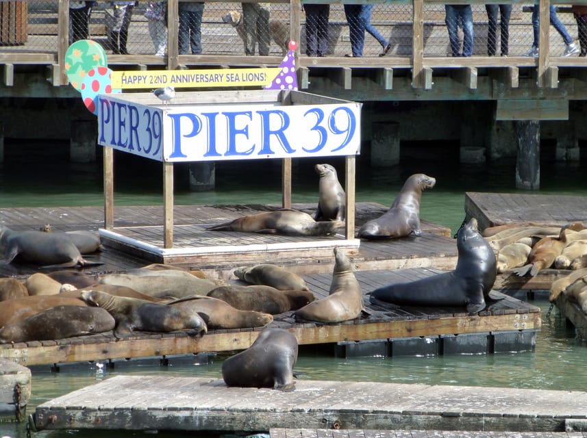 San Francisco: Hop-On Hop-Off City Bus Tour and Bay Cruise - Practical weaknesses to consider before booking