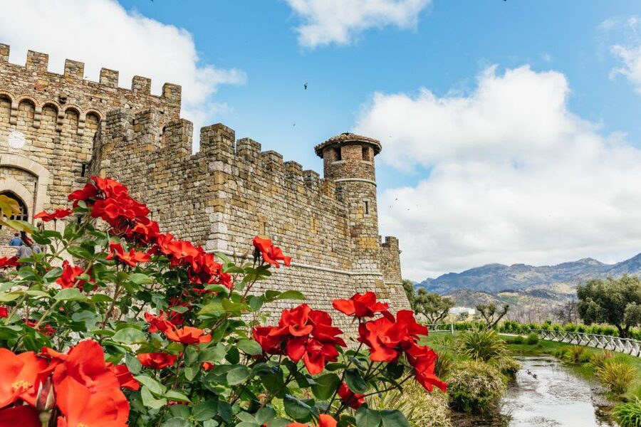 San Francisco: Luxury Small-Group Wine Tour of Napa Valley - Key points to know before booking