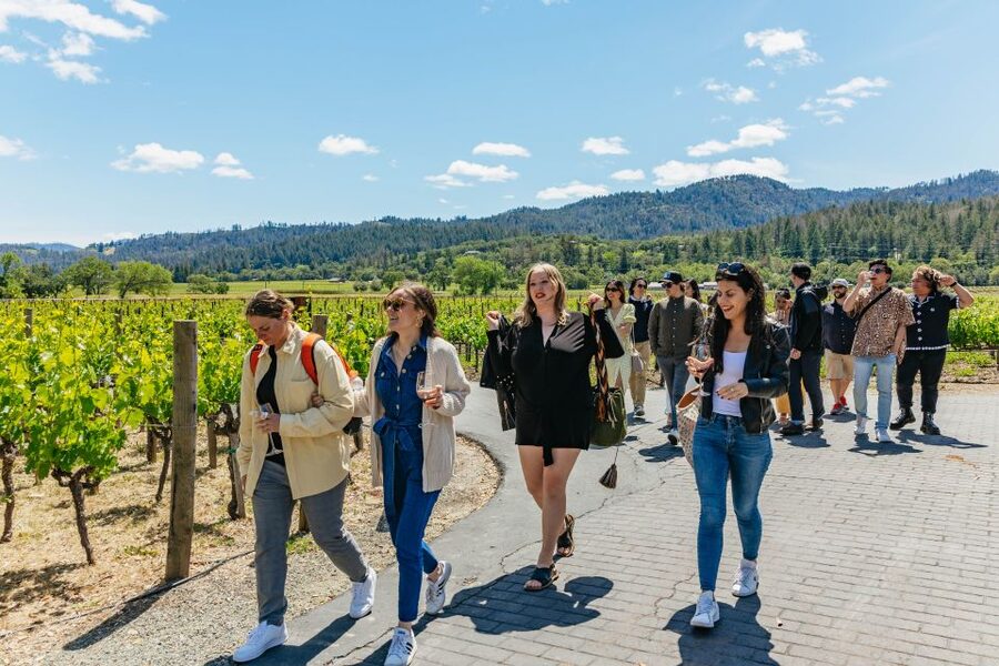 San Francisco: Luxury Small-Group Wine Tour of Napa Valley - Is $299 a fair price?