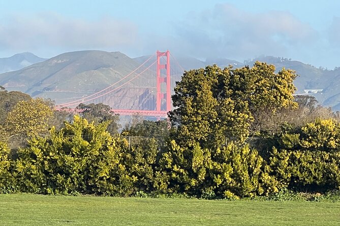San Francisco: Major Landmarks Private Sightseeing Tour - The Marina District and Palace of Fine Arts