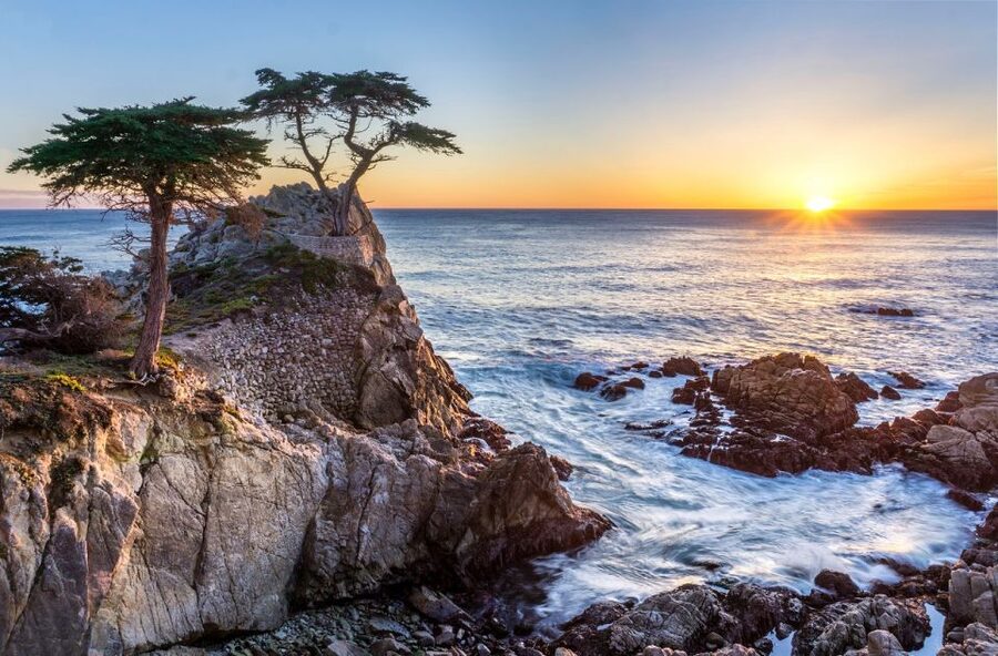 San Francisco: Monterey and Carmel Tour - Why this Highway 1 day trip works