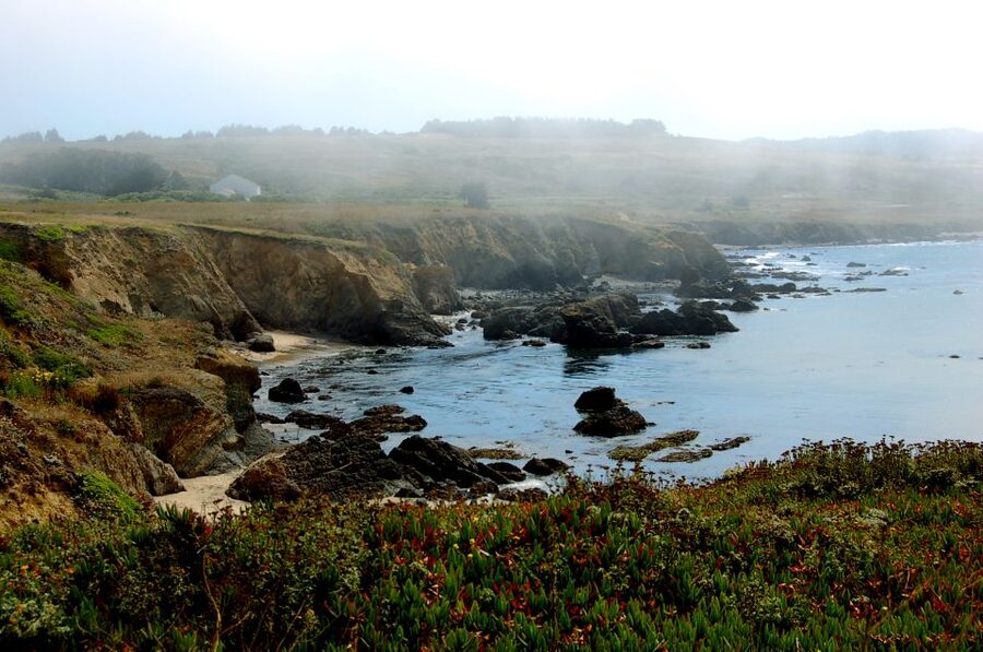 San Francisco: Monterey and Carmel Tour - 17-Mile Drive and the Lone Cypress