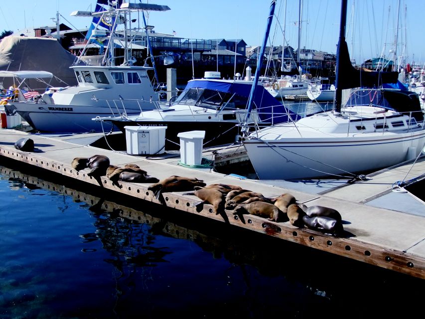 San Francisco: Monterey and Carmel Tour - Carmel-by-the-Sea in a 45-minute visit