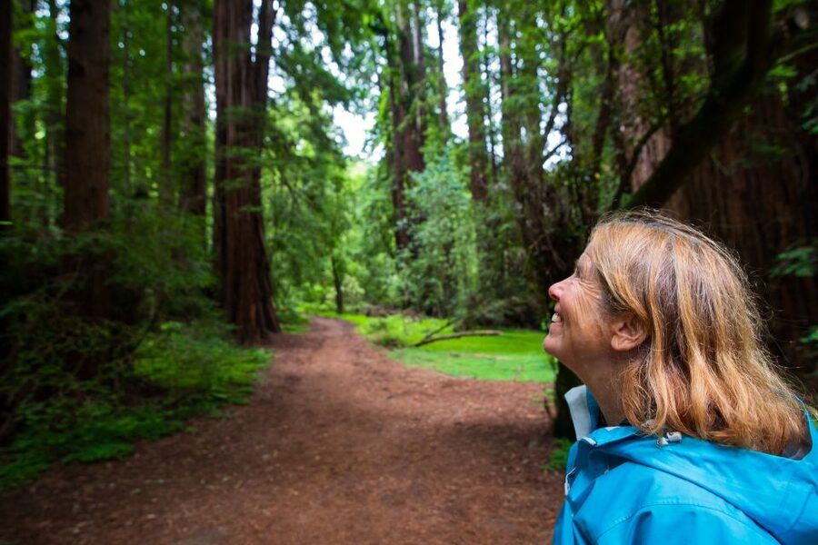 San Francisco: Morning Muir Woods & Sausalito Tour w/ Ferry - Simple ways to improve the day