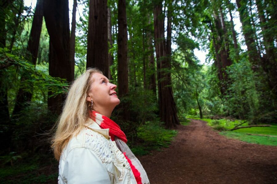 San Francisco: Morning Muir Woods & Sausalito Tour w/ Ferry - Sausalito for lunch, shops, and bay views