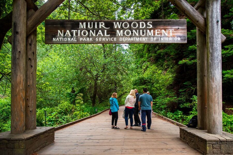 San Francisco: Morning Muir Woods & Sausalito Tour w/ Ferry - Who should book this Muir Woods tour?