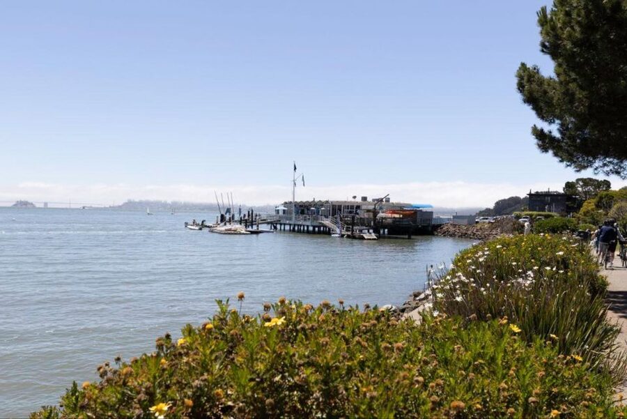 San Francisco: Muir Woods and Sausalito Entry Fee Included - Why this half-day outing works