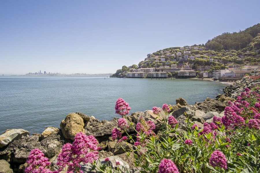 San Francisco: Muir Woods and Sausalito Experience - Starting at Fisherman’s Wharf and crossing the Golden Gate