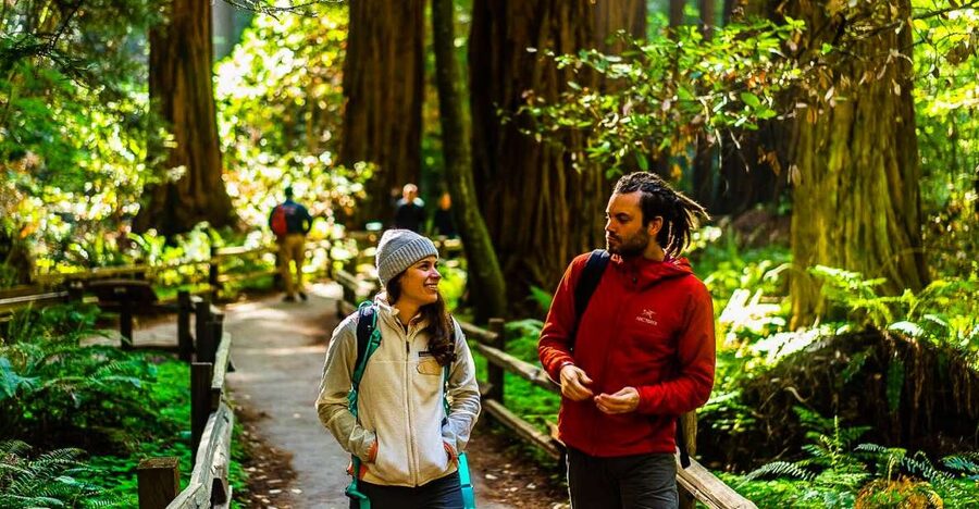 San Francisco: Muir Woods and Sausalito Half-Day Trip - Entering Muir Woods after the morning drive